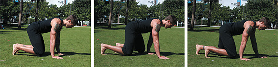 The Beast - Copyright – Stock Photo / Register Mark