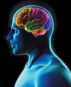 Melatonin - Copyright – Stock Photo / Register Mark