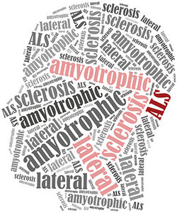 brain - Copyright – Stock Photo / Register Mark