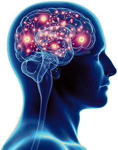 brain atrophy - Copyright – Stock Photo / Register Mark
