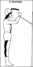 image - Copyright – Stock Photo / Register Mark