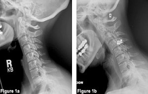 image - Copyright – Stock Photo / Register Mark