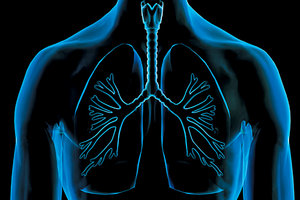 diaphragm - Copyright – Stock Photo / Register Mark