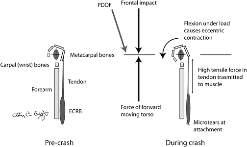 figure 3 - Copyright – Stock Photo / Register Mark