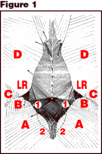 image - Copyright – Stock Photo / Register Mark