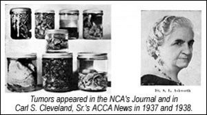 image - Copyright – Stock Photo / Register Mark