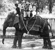 image - Copyright – Stock Photo / Register Mark