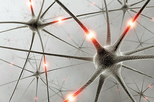 Lateral Sclerosis - Copyright – Stock Photo / Register Mark