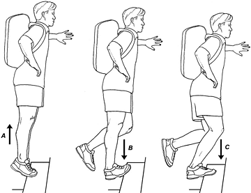 Heavy-load eccentric calf exercises - Copyright – Stock Photo / Register Mark