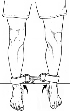 closed-chain tibialis posterior exercise - Copyright – Stock Photo / Register Mark