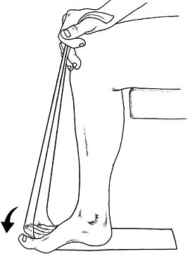 Flexor digitorum longus home exercise - Copyright – Stock Photo / Register Mark