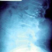 image - Copyright – Stock Photo / Register Mark