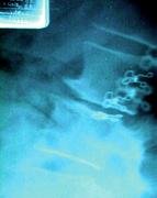 image - Copyright – Stock Photo / Register Mark