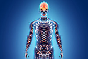neurotoxic - Copyright – Stock Photo / Register Mark