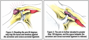 image - Copyright – Stock Photo / Register Mark