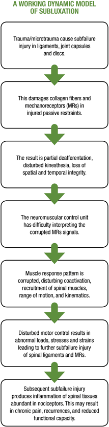 A working dynamic model of subluxation - Copyright – Stock Photo / Register Mark